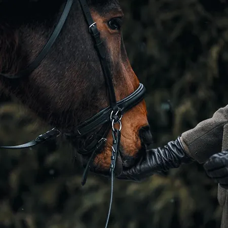 Giles Namai Apartment *