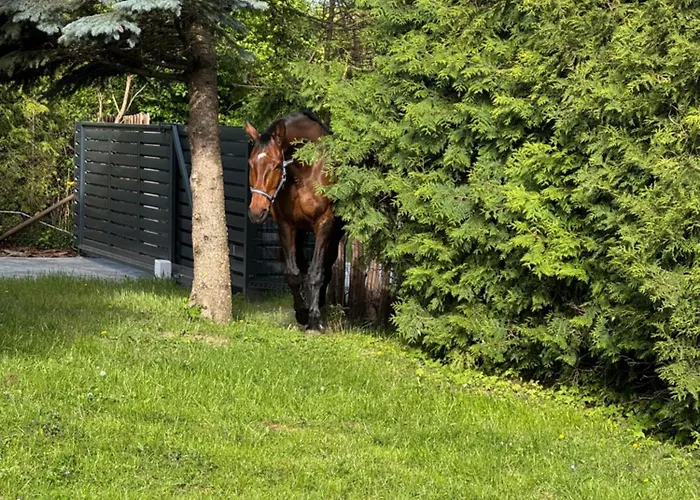 아파트 Giles Namai